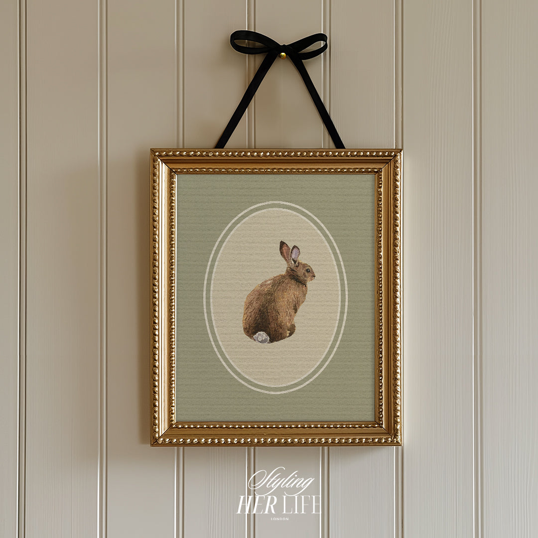 50 Vintage Animals Digital Prints | MB024