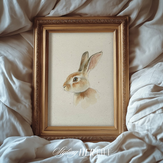 Rabbit Sketch Digital Art Print | IN061