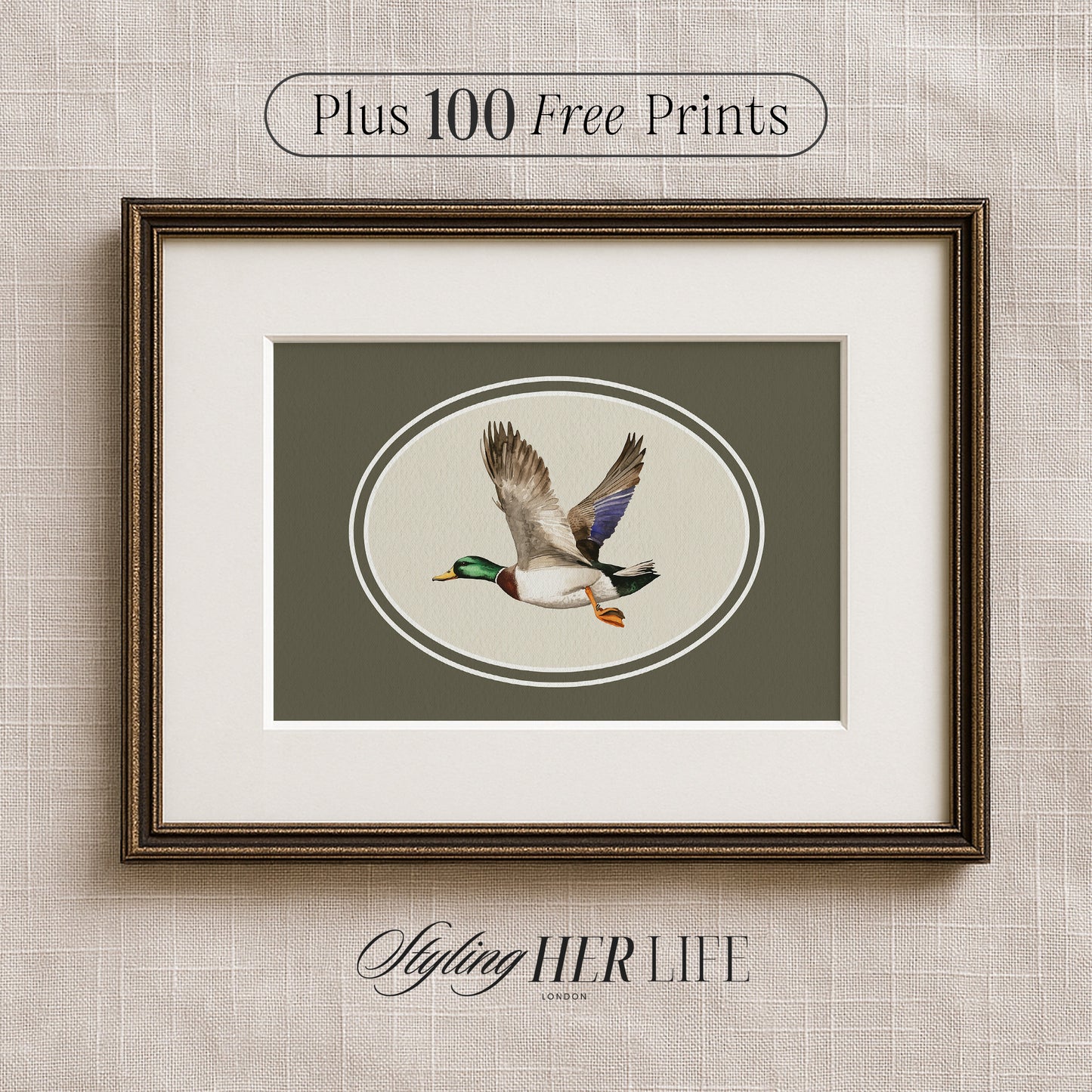 Vintage Duck Digital Art Print | IN066