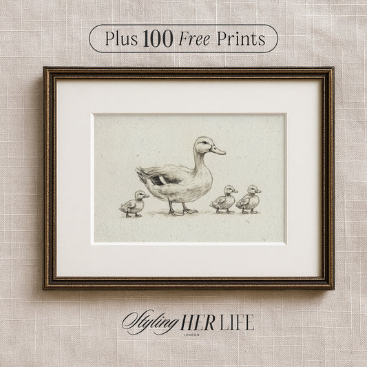 Vintage Duck Digital Art Print | IN049