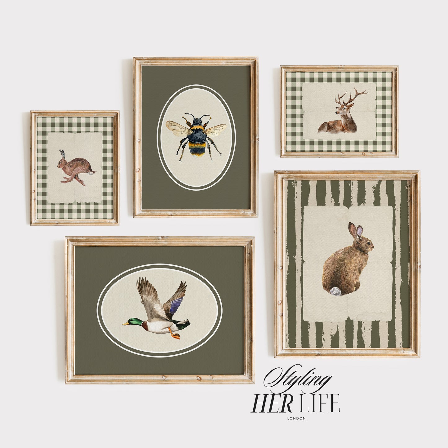 50 Vintage Animals Digital Prints | MB019