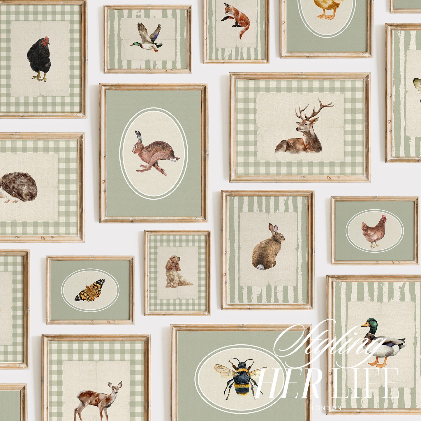 50 Vintage Animals Digital Prints | MB024