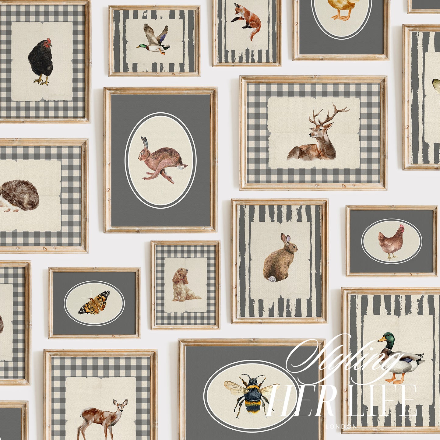 50 Vintage Animals Digital Prints | MB022