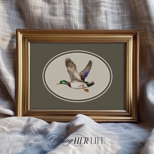 Vintage Duck Digital Art Print | IN066