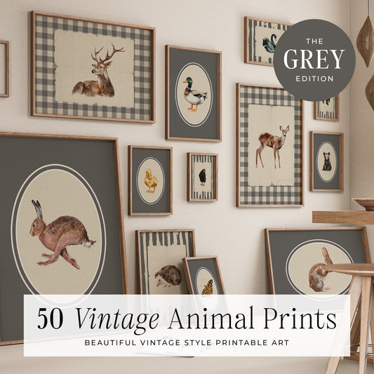 50 Vintage Animals Digital Prints | MB022