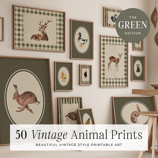 50 Vintage Animals Digital Prints | MB019