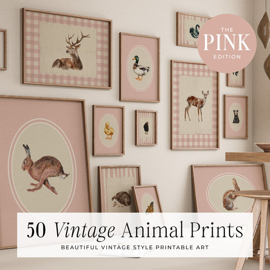 50 Vintage Animals Digital Prints | MB023