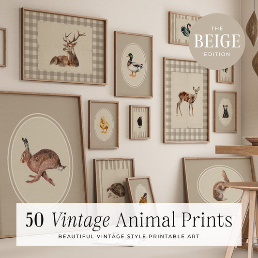 50 Vintage Animals Digital Prints | MB021