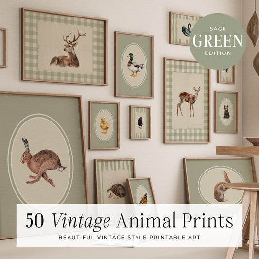 50 Vintage Animals Digital Prints | MB024
