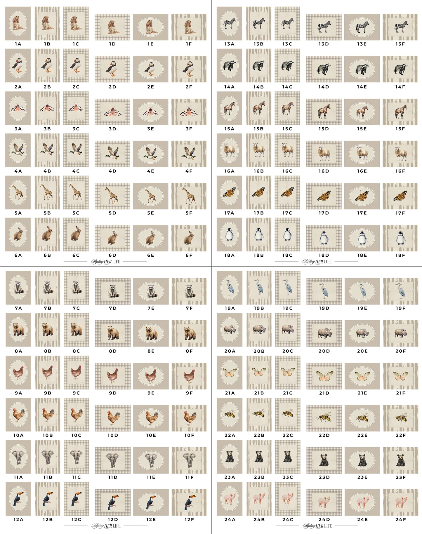 50 Vintage Animals Digital Prints | MB021