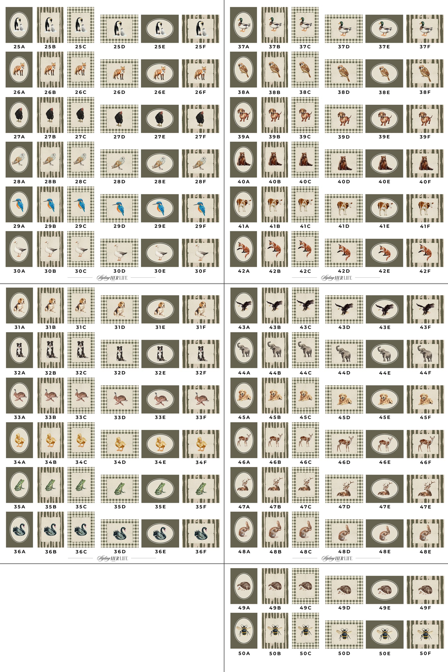 50 Vintage Animals Digital Prints | MB019