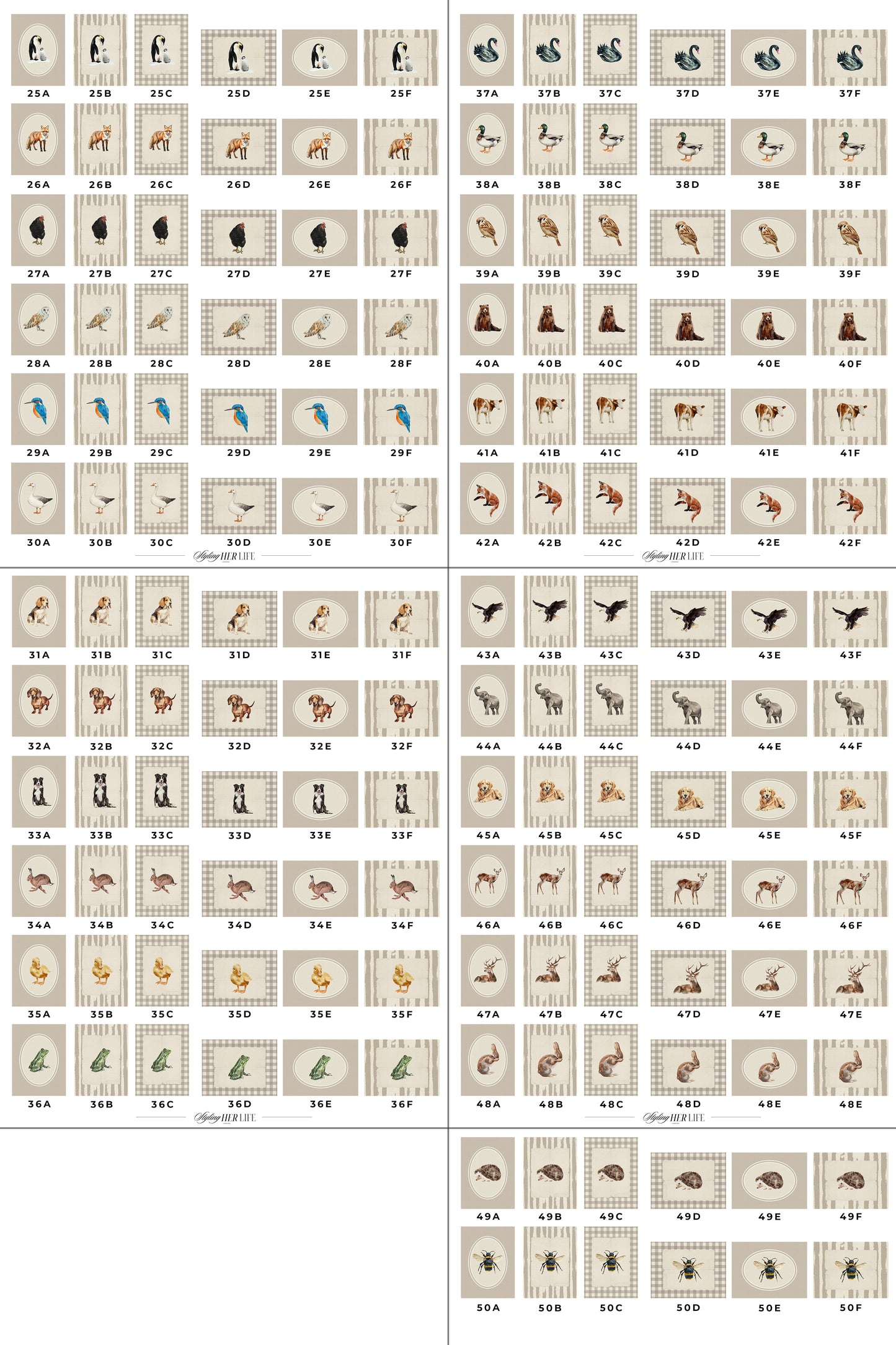 50 Vintage Animals Digital Prints | MB021