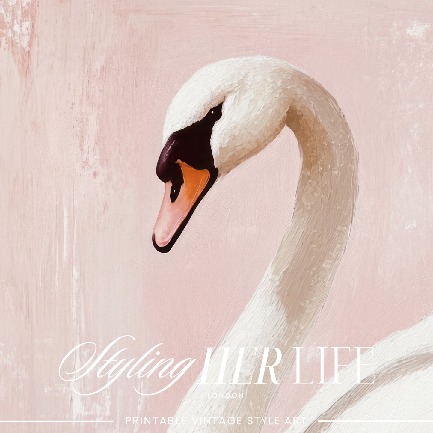 Vintage Swan Art Print | PRINTABLE ART | Digital Download